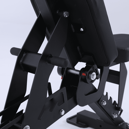 Heavy Duty 8-in-1 Adjustable Bench | Ascend HB-800